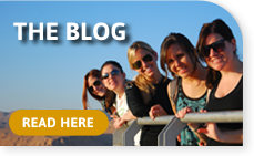 Read the blog