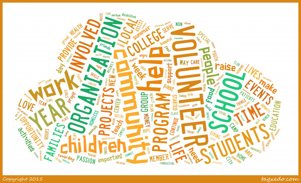 Please describe any volunteer or community service projects you are involved with