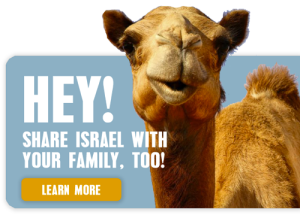 Image of a Camel in Israel